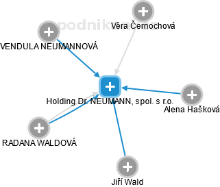 Holding Dr. NEUMANN, spol. s r.o. - náhled vizuálního zobrazení vztahů obchodního rejstříku