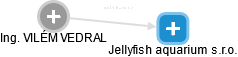Jellyfish aquarium s.r.o. - náhled vizuálního zobrazení vztahů obchodního rejstříku
