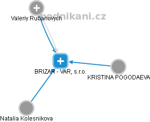 BRIZAR - VAR, s.r.o. - náhled vizuálního zobrazení vztahů obchodního rejstříku