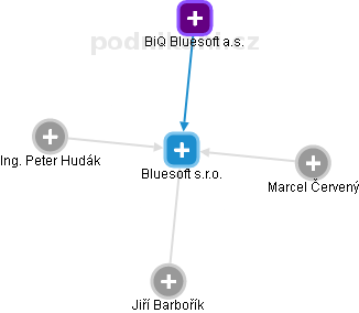 Bluesoft s.r.o. - náhled vizuálního zobrazení vztahů obchodního rejstříku
