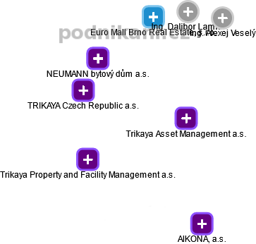 Trikaya Asset Management a.s. - náhled vizuálního zobrazení vztahů obchodního rejstříku