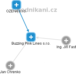 Buzzing Pink Lines s.r.o. - náhled vizuálního zobrazení vztahů obchodního rejstříku
