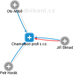 Chameleon profi s.r.o. - náhled vizuálního zobrazení vztahů obchodního rejstříku