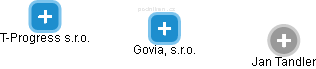 Govia, s.r.o. - náhled vizuálního zobrazení vztahů obchodního rejstříku