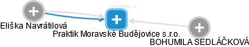 Praktik Moravské Budějovice s.r.o. - náhled vizuálního zobrazení vztahů obchodního rejstříku