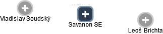 Savanon SE - náhled vizuálního zobrazení vztahů obchodního rejstříku