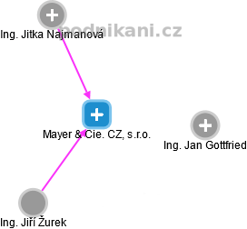 Mayer & Cie. CZ, s.r.o. - náhled vizuálního zobrazení vztahů obchodního rejstříku
