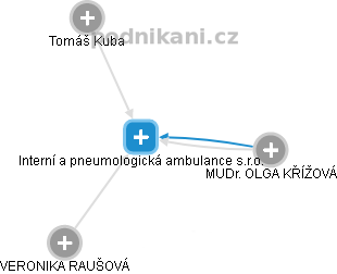 Interní a pneumologická ambulance s.r.o. - náhled vizuálního zobrazení vztahů obchodního rejstříku