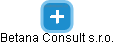 Betana Consult s.r.o. - náhled vizuálního zobrazení vztahů obchodního rejstříku