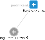 Bukovský s.r.o. - náhled vizuálního zobrazení vztahů obchodního rejstříku
