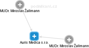 Auris Medica s.r.o. - náhled vizuálního zobrazení vztahů obchodního rejstříku