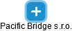 Pacific Bridge s.r.o. - náhled vizuálního zobrazení vztahů obchodního rejstříku