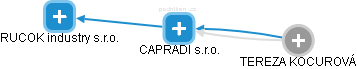 CAPRADI s.r.o. - náhled vizuálního zobrazení vztahů obchodního rejstříku