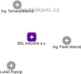 BSL Industrie a.s. - náhled vizuálního zobrazení vztahů obchodního rejstříku