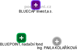 BLUEPOINT, nadační fond - náhled vizuálního zobrazení vztahů obchodního rejstříku
