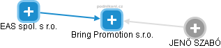 Bring Promotion s.r.o. - náhled vizuálního zobrazení vztahů obchodního rejstříku