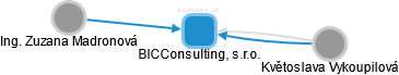 BICConsulting, s.r.o. - náhled vizuálního zobrazení vztahů obchodního rejstříku