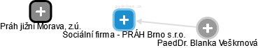 Sociální firma - PRÁH Brno s.r.o. - náhled vizuálního zobrazení vztahů obchodního rejstříku