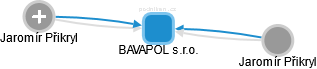 BAVAPOL s.r.o. - náhled vizuálního zobrazení vztahů obchodního rejstříku