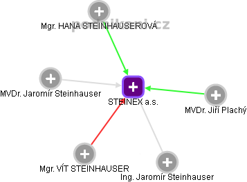 STEINEX a.s. - náhled vizuálního zobrazení vztahů obchodního rejstříku