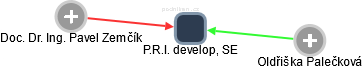 P.R.I. develop, SE - náhled vizuálního zobrazení vztahů obchodního rejstříku