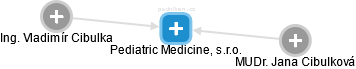 Pediatric Medicine, s.r.o. - náhled vizuálního zobrazení vztahů obchodního rejstříku