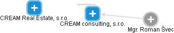 CREAM consulting, s.r.o. - náhled vizuálního zobrazení vztahů obchodního rejstříku