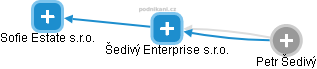 Šedivý Enterprise s.r.o. - náhled vizuálního zobrazení vztahů obchodního rejstříku
