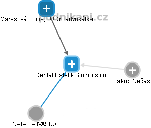 Dental Estetik Studio s.r.o. - náhled vizuálního zobrazení vztahů obchodního rejstříku