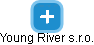 Young River s.r.o. - náhled vizuálního zobrazení vztahů obchodního rejstříku