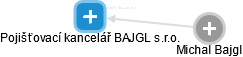 Pojišťovací kancelář BAJGL s.r.o. - náhled vizuálního zobrazení vztahů obchodního rejstříku