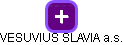 VESUVIUS SLAVIA a.s. - náhled vizuálního zobrazení vztahů obchodního rejstříku