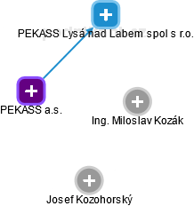 PEKASS a.s. - náhled vizuálního zobrazení vztahů obchodního rejstříku