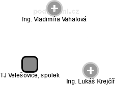 TJ Velešovice, spolek - náhled vizuálního zobrazení vztahů obchodního rejstříku