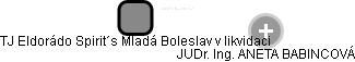 TJ Eldorádo Spirit´s Mladá Boleslav v likvidaci - náhled vizuálního zobrazení vztahů obchodního rejstříku