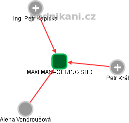 MAXI MANAGERING SBD - náhled vizuálního zobrazení vztahů obchodního rejstříku