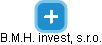 B.M.H. invest, s.r.o. - náhled vizuálního zobrazení vztahů obchodního rejstříku