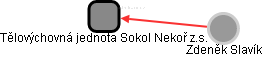 Tělovýchovná jednota Sokol Nekoř z.s. - náhled vizuálního zobrazení vztahů obchodního rejstříku