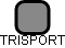 TRISPORT - náhled vizuálního zobrazení vztahů obchodního rejstříku