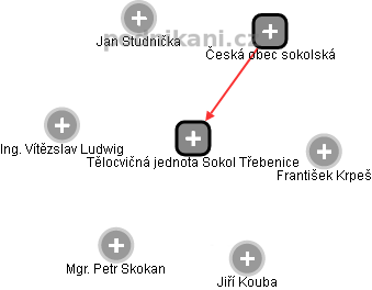 Tělocvičná jednota Sokol Třebenice - náhled vizuálního zobrazení vztahů obchodního rejstříku