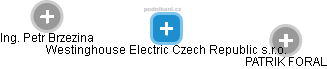 Westinghouse Electric Czech Republic s.r.o. - náhled vizuálního zobrazení vztahů obchodního rejstříku