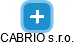 CABRIO s.r.o. - náhled vizuálního zobrazení vztahů obchodního rejstříku