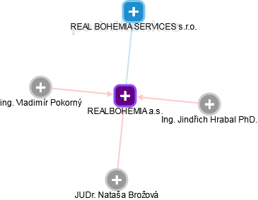 REALBOHEMIA a.s. - náhled vizuálního zobrazení vztahů obchodního rejstříku