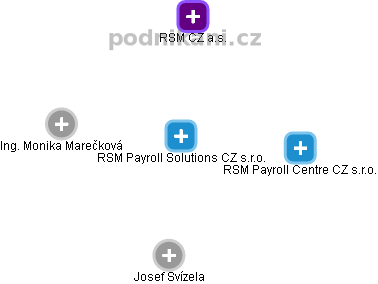 RSM Payroll Solutions CZ s.r.o. - náhled vizuálního zobrazení vztahů obchodního rejstříku