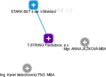 T-STRING Pardubice, a.s. - náhled vizuálního zobrazení vztahů obchodního rejstříku