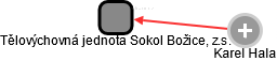 Tělovýchovná jednota Sokol Božice, z.s. - náhled vizuálního zobrazení vztahů obchodního rejstříku