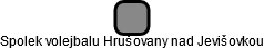 Spolek volejbalu Hrušovany nad Jevišovkou - náhled vizuálního zobrazení vztahů obchodního rejstříku