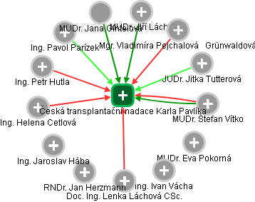 Česká transplantační nadace Karla Pavlíka - náhled vizuálního zobrazení vztahů obchodního rejstříku