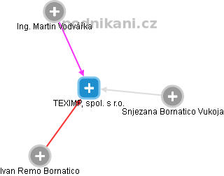 TEXIMP, spol. s r.o. - náhled vizuálního zobrazení vztahů obchodního rejstříku