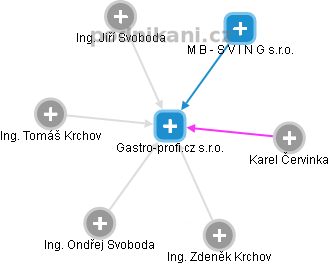 Gastro-profi.cz s.r.o. - náhled vizuálního zobrazení vztahů obchodního rejstříku